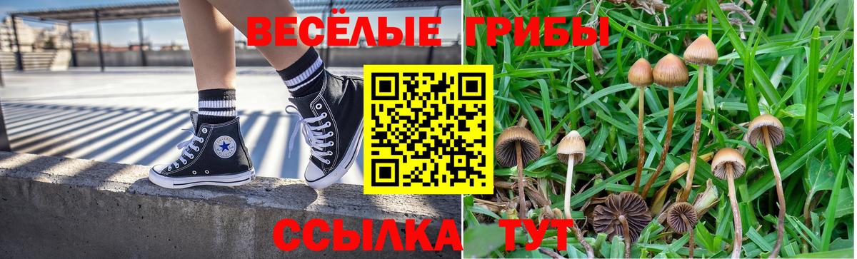 Псилоцибиновые грибы прущие грибы  Вход с VPN  Туймазы 